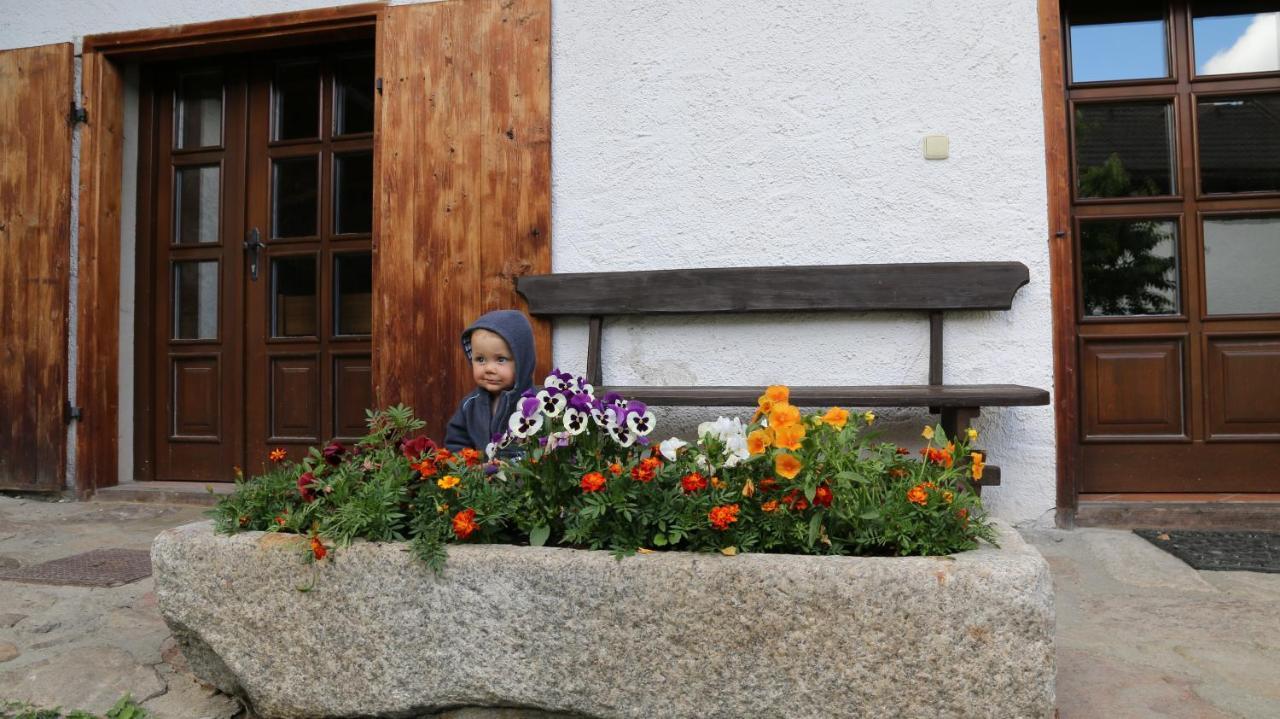 Penzion Mauritz Nová Pec Extérieur photo